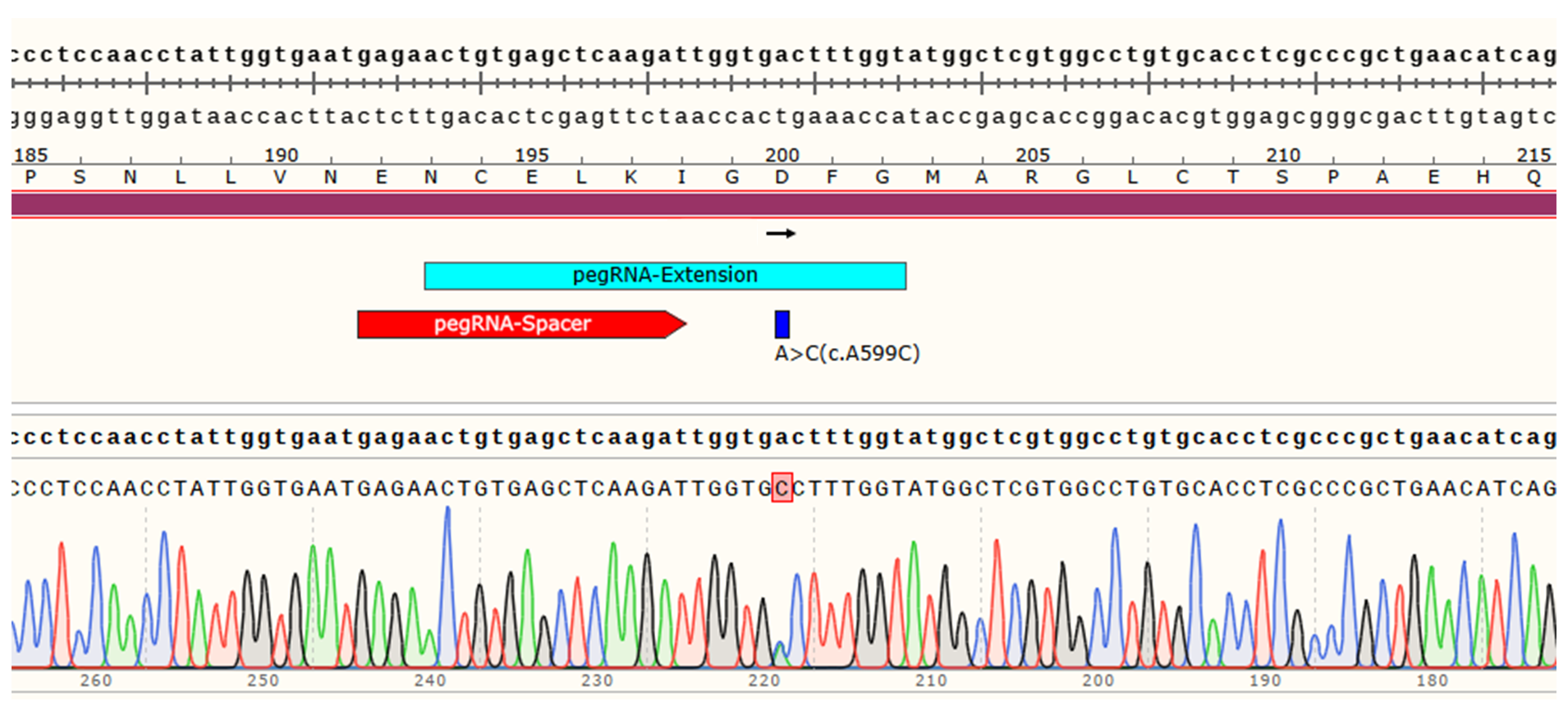 Editing efficiency assays