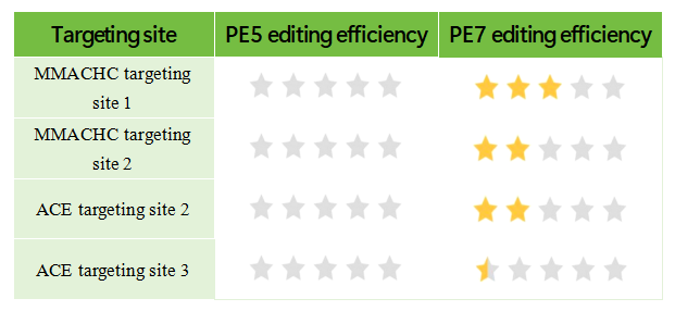 Diagram of the gene A editing site