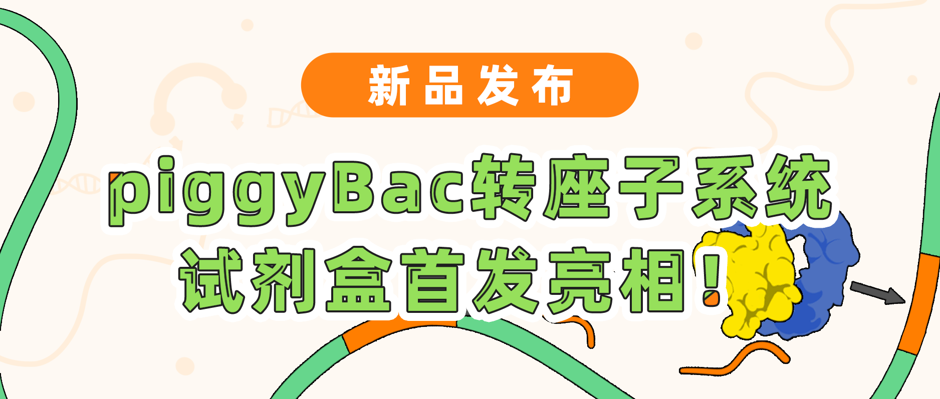 新品发布| 艾迪基因piggyBac转座子系统试剂盒首发亮相！极速转座，千元不到体验高效基因递送！