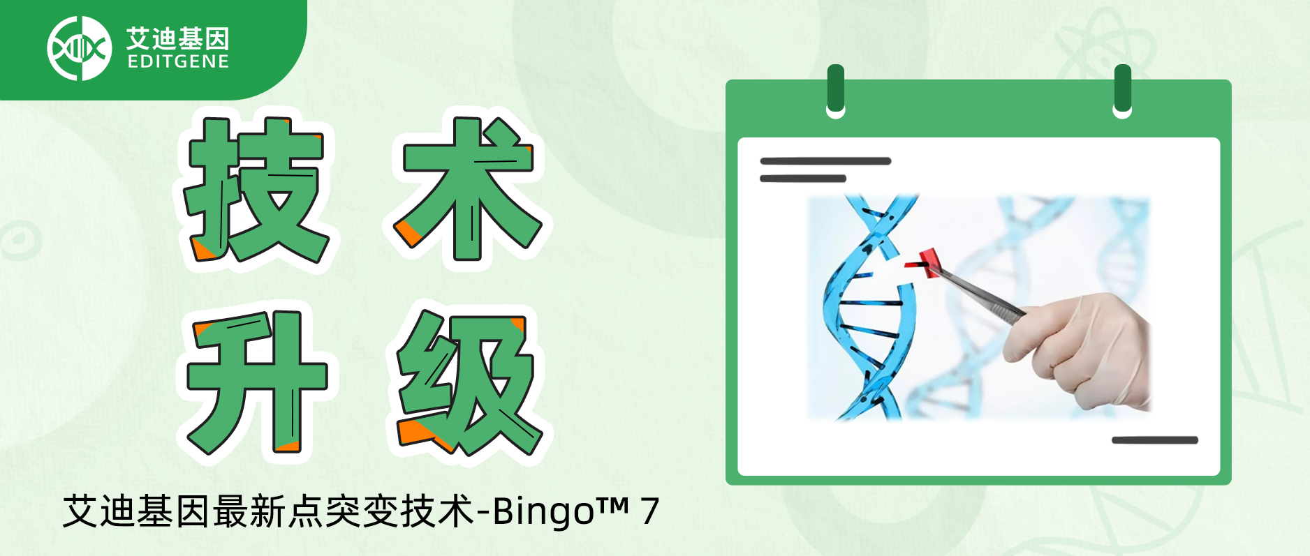 基因编辑精准与效率双向飙升！艾迪基因重磅推出升级基因定点突变技术-Bingo™ 7!