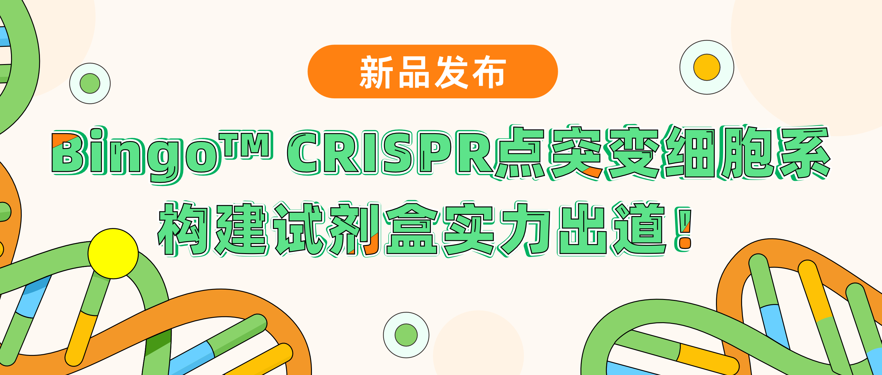 新品发布| 艾迪基因Bingo™ CRISPR点突变细胞系构建试剂盒实力“出道”！升级PE技术，高效编辑，快人一步享受极致命中率