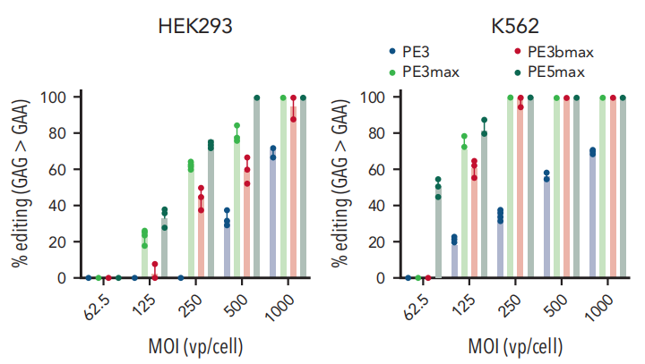 细胞系中的 G>A（沉默 PAM 位点）编辑分析