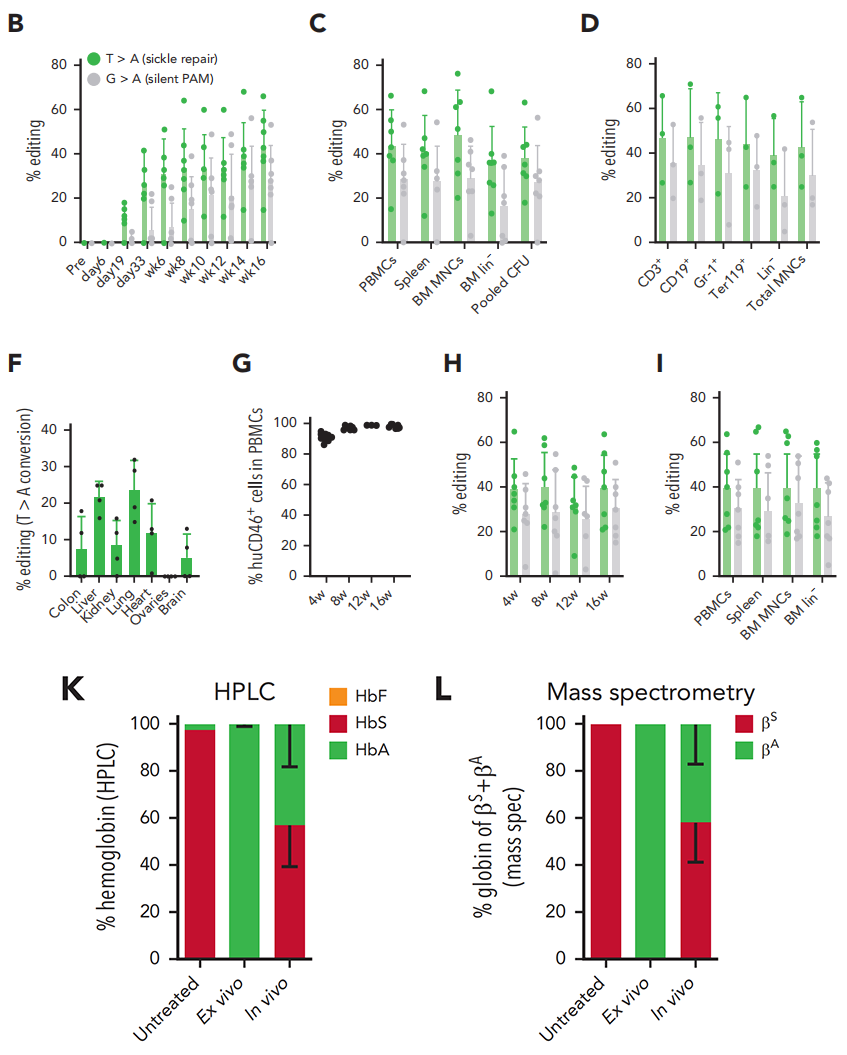 使用 HDAd-PE5max 转导体内造血干细胞后，CD46/Townes 小鼠的治疗性编辑状况