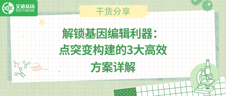 解锁基因编辑利器:点突变构建的3大高效方案详解
