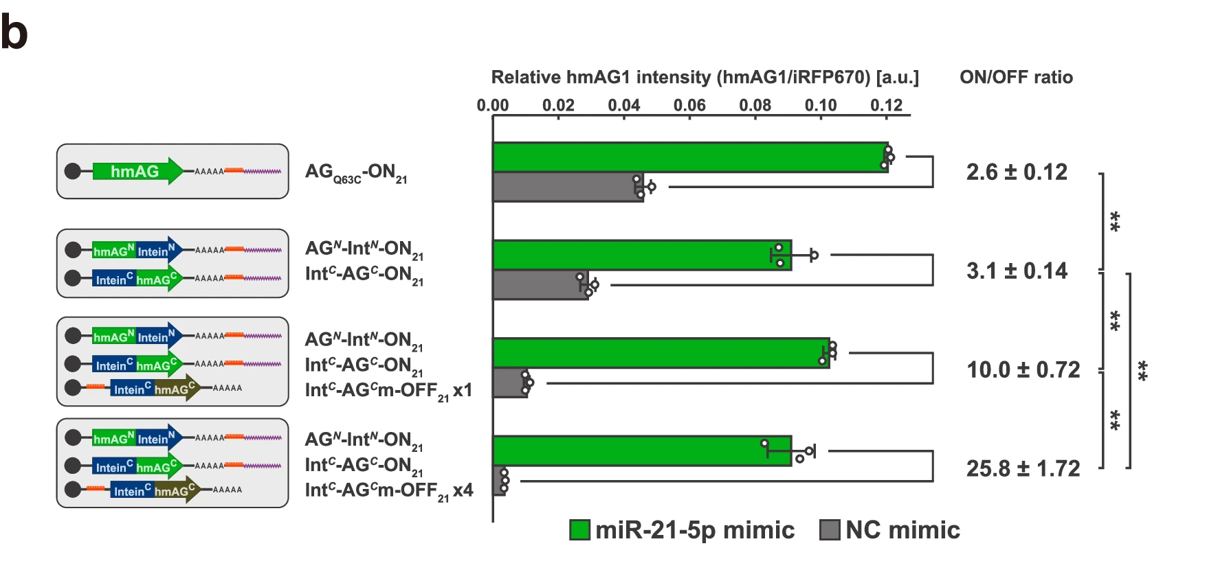 加入漏表达抑制子ON/OFF 比提升至25倍以上