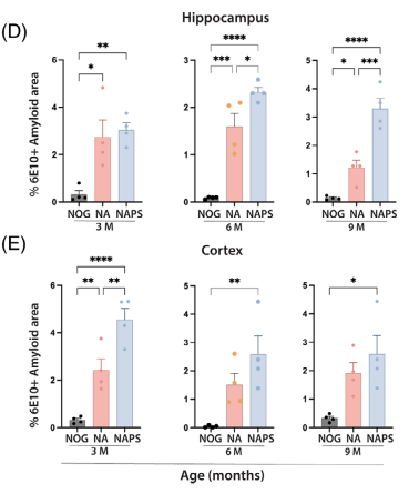 组织病理学分析