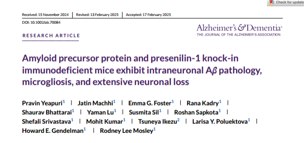 Amyloid precursor protein and presenilin-1 knock-in immunodeficient mice exhibit intraneuronal Aβ pathology, microgliosis, and extensive neuronal loss