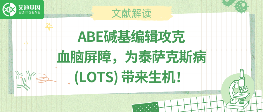 “基因手术刀”横空出世：泰萨克斯病迎来一次治愈希望