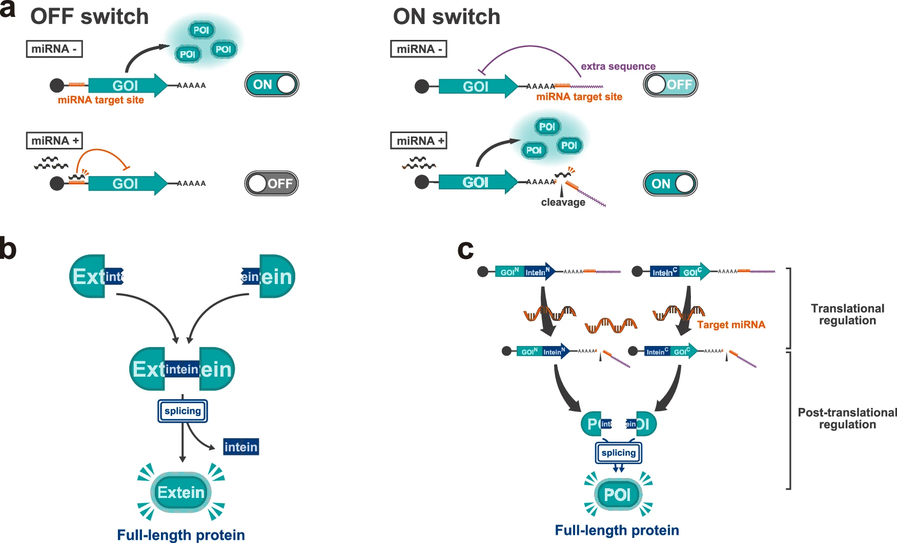 ON开关和OFF开关示意图