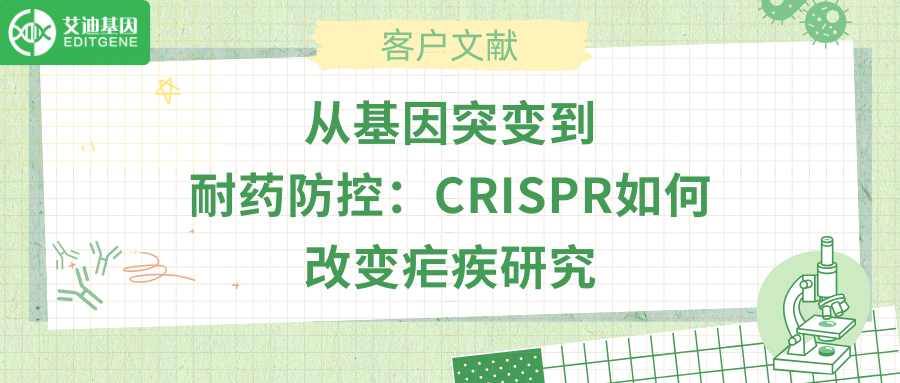 从基因突变到耐药防控：CRISPR如何改变疟疾研究