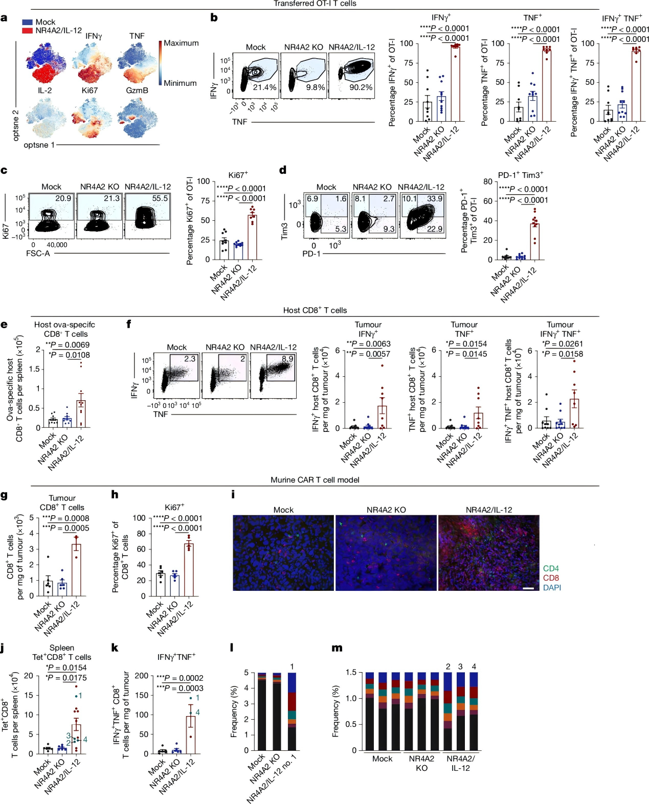 增强的促炎性以及促进宿主抗肿瘤免疫反应