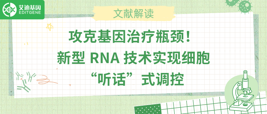 攻克基因治疗瓶颈！新型 RNA 技术实现细胞“听话”式调控