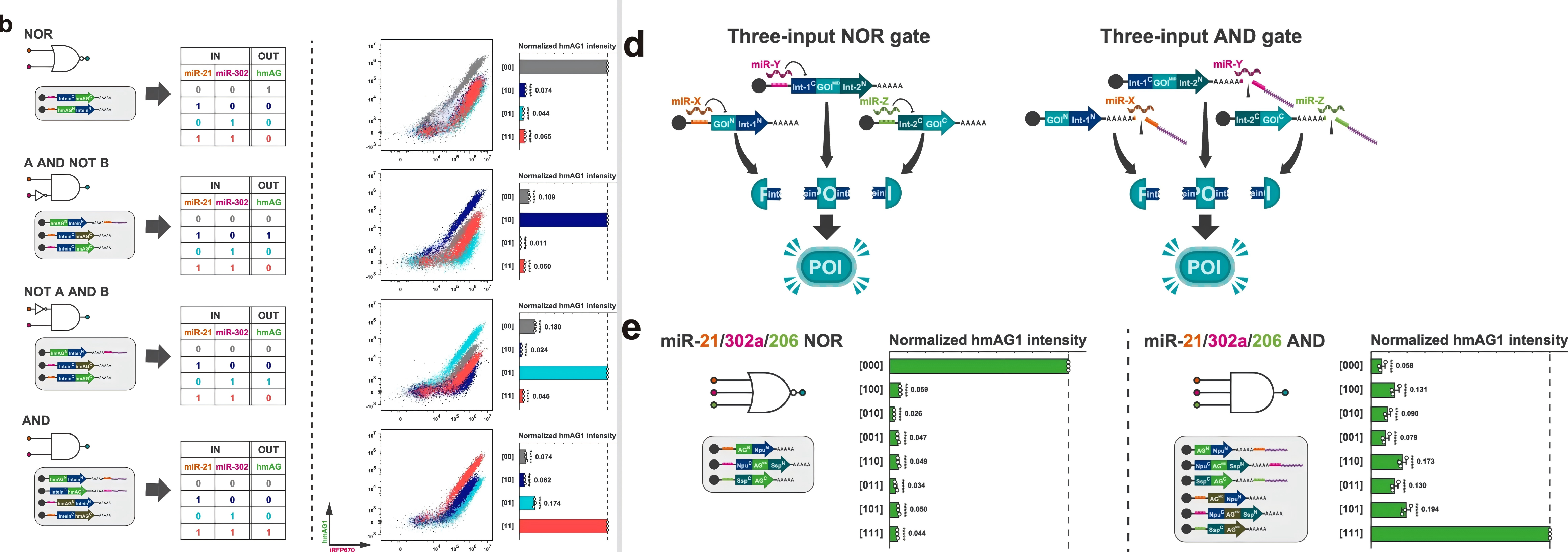 构建的两输入（左）、三输入（右）生物逻辑门电路结构