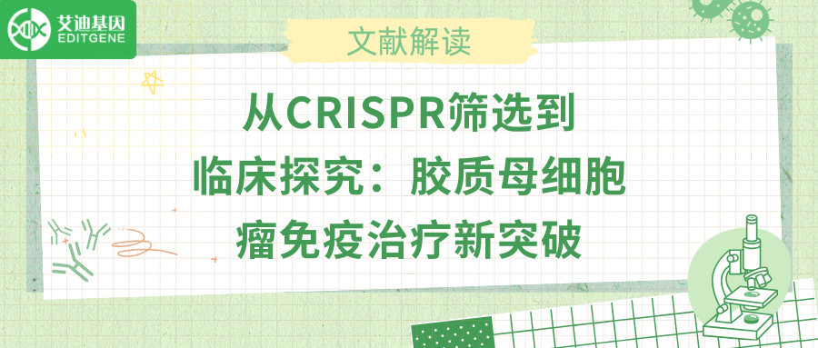 从CRISPR筛选到临床探究：胶质母细胞瘤免疫治疗新突破
