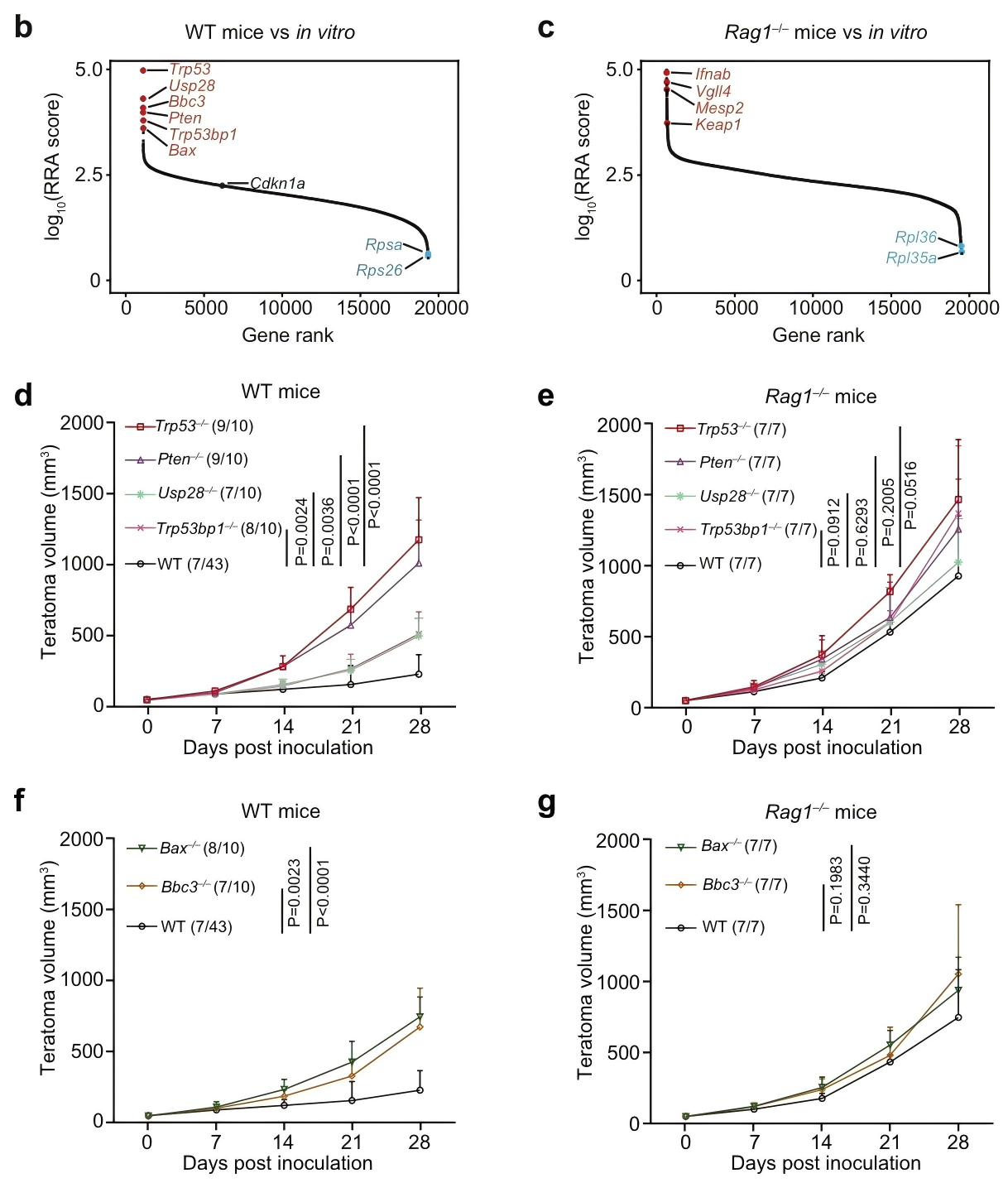 免疫监视基因的全基因组 CRISPR 筛选